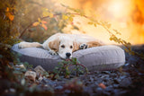 Laboni LUNA LOUNGE SET Hundebett OXFORD stilvoller Schlaf- & Ruheplatz