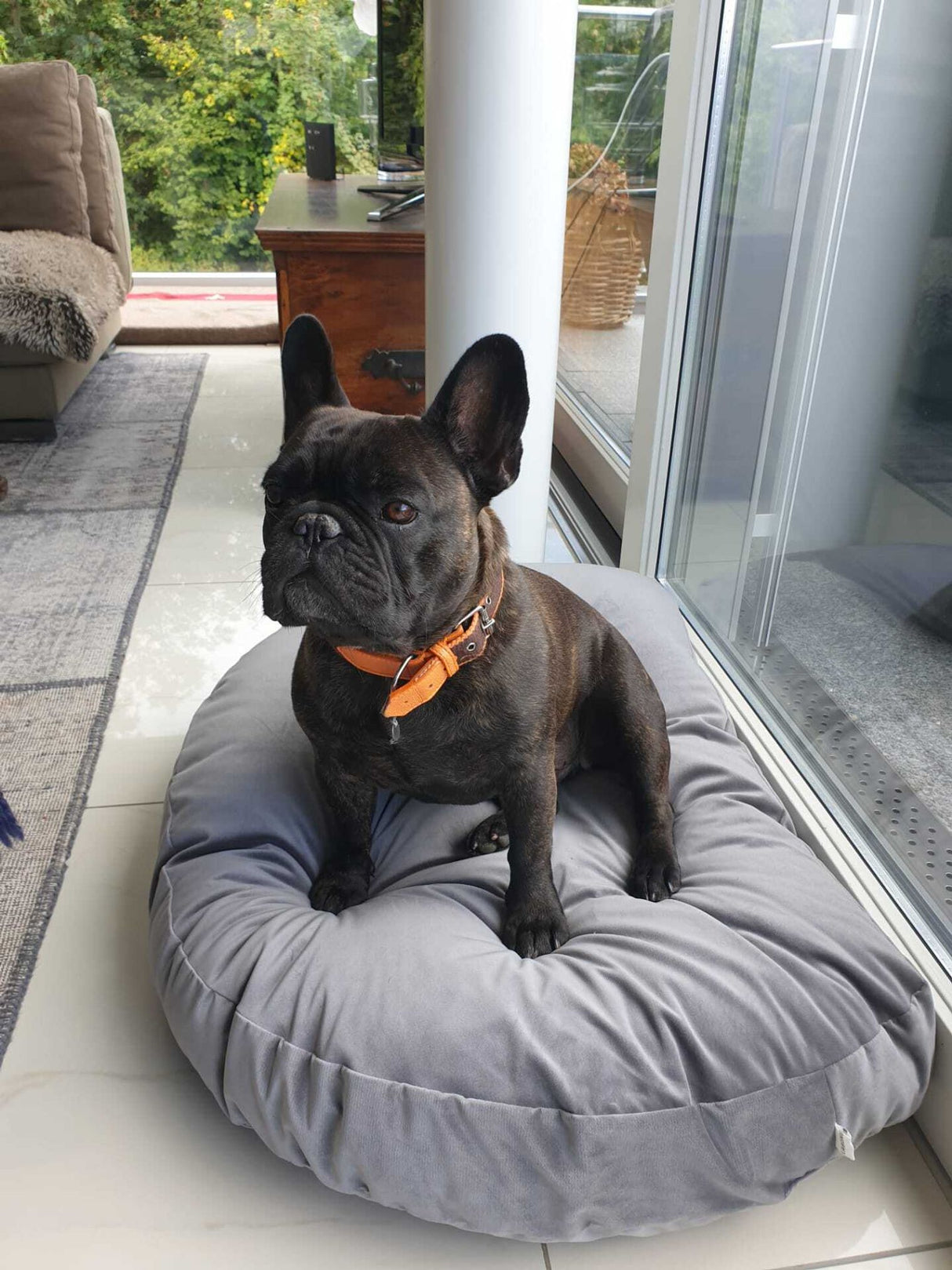 Laboni LUNA LOUNGE SET Hundebett OXFORD stilvoller Schlaf- & Ruheplatz