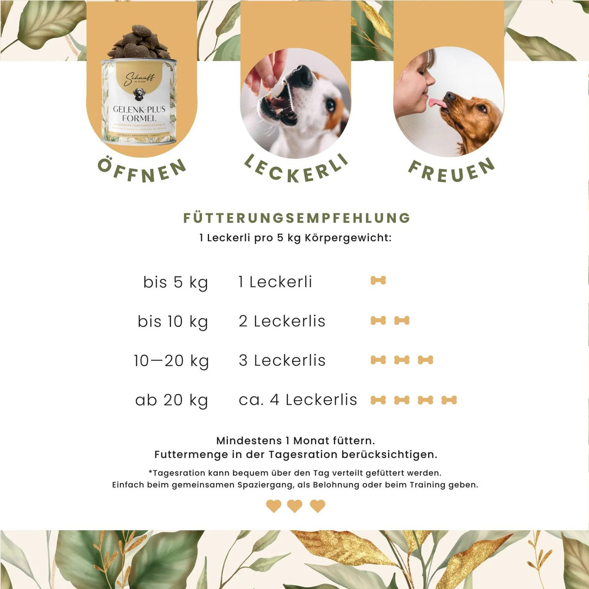 Gelenk-Plus-Formel Premium-Leckerlis für die Gelenke & Knochen
