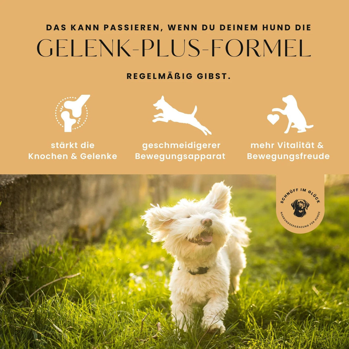 Gelenk-Plus-Formel Premium-Leckerlis für die Gelenke & Knochen