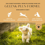Gelenk-Plus-Formel Premium-Leckerlis für die Gelenke & Knochen