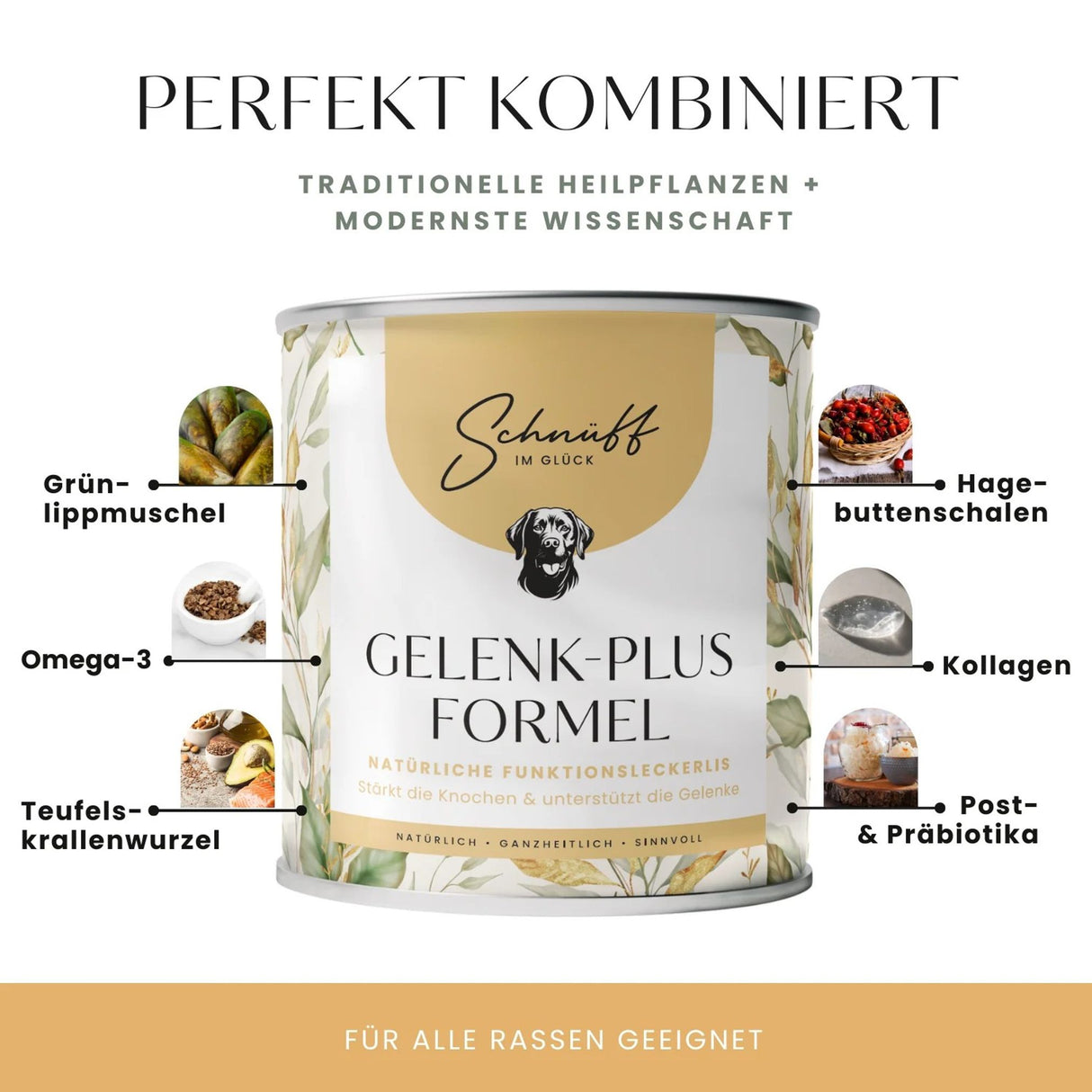 Gelenk-Plus-Formel Premium-Leckerlis für die Gelenke & Knochen