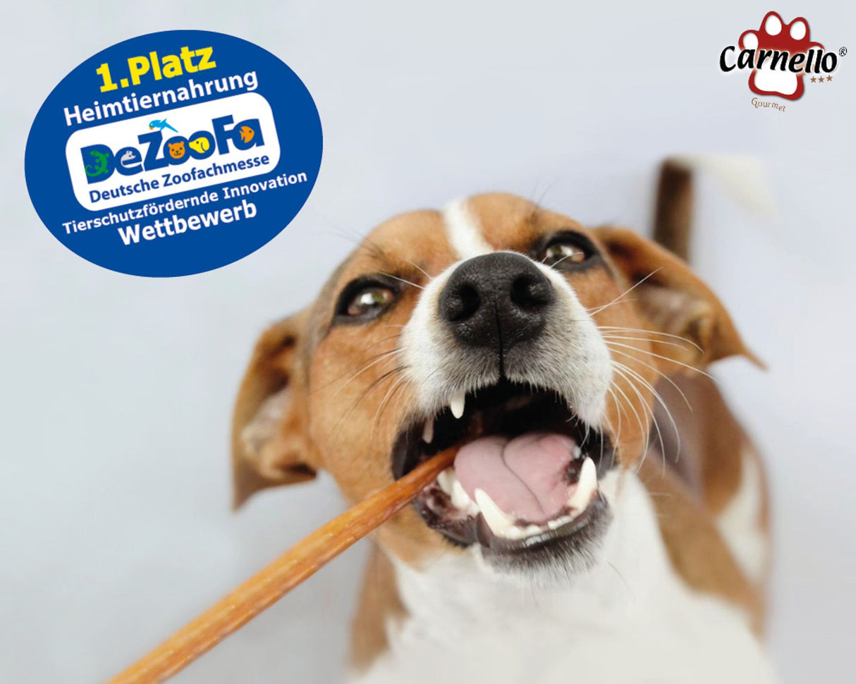 Carnello Hundespaghetti Leckerli für Hunde 60g