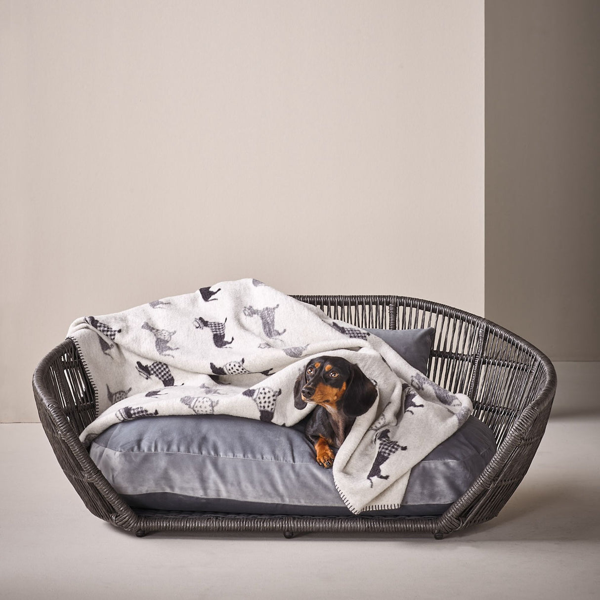 Laboni Hundedecke TECKEL – Kuscheldecke mit Dackelmotiv
