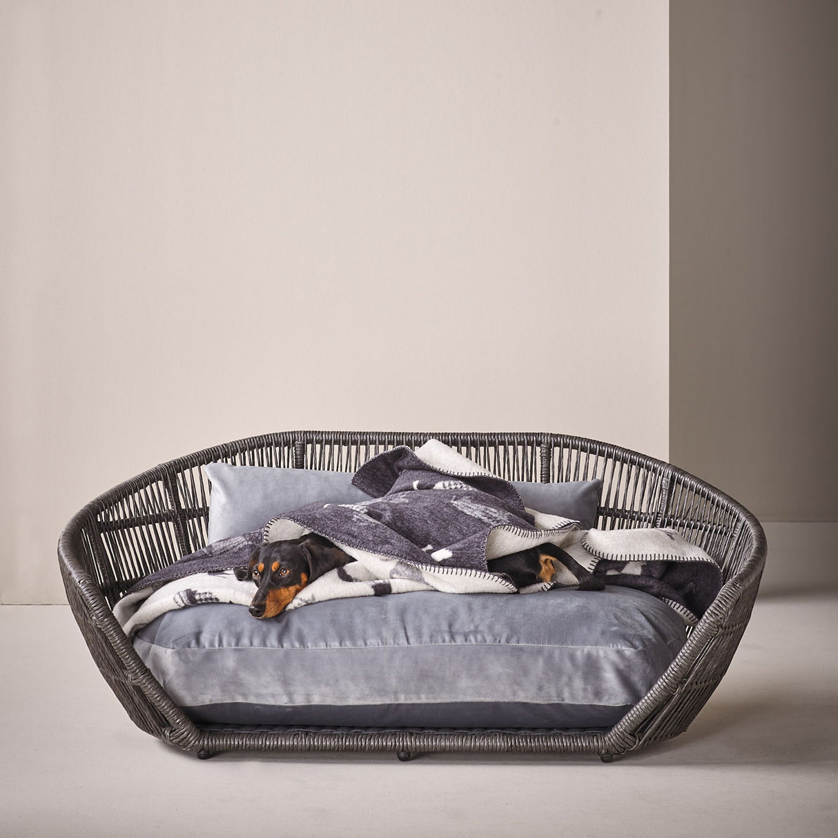 Laboni Hundedecke TECKEL – Kuscheldecke mit Dackelmotiv