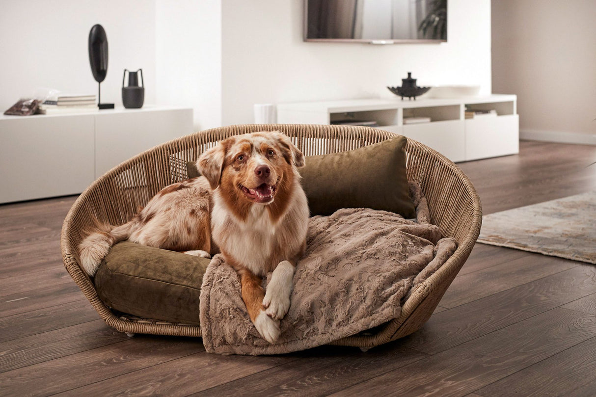 Laboni VOGUE Design-Hundebett OXFORD