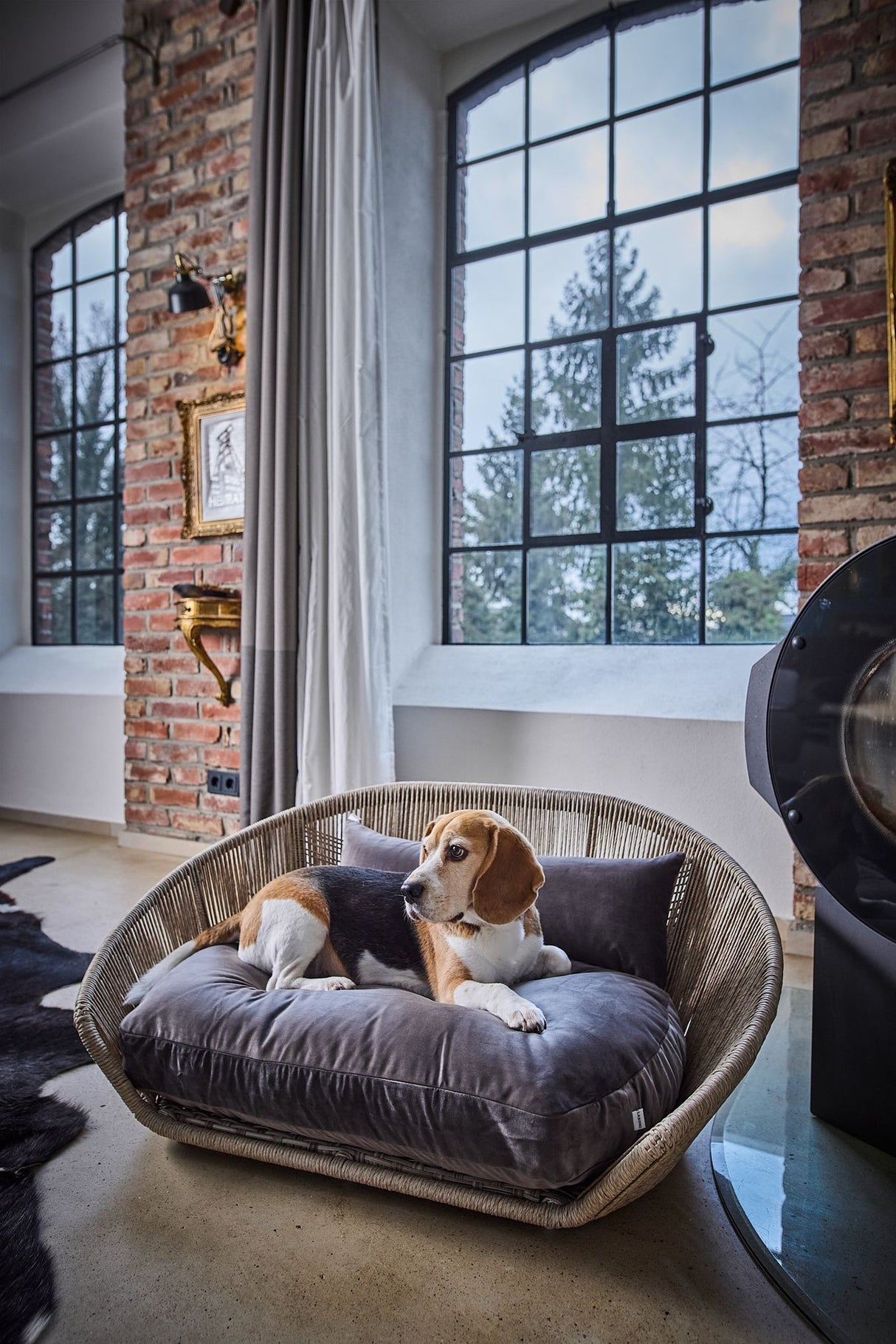 Laboni VOGUE Design-Hundebett OXFORD