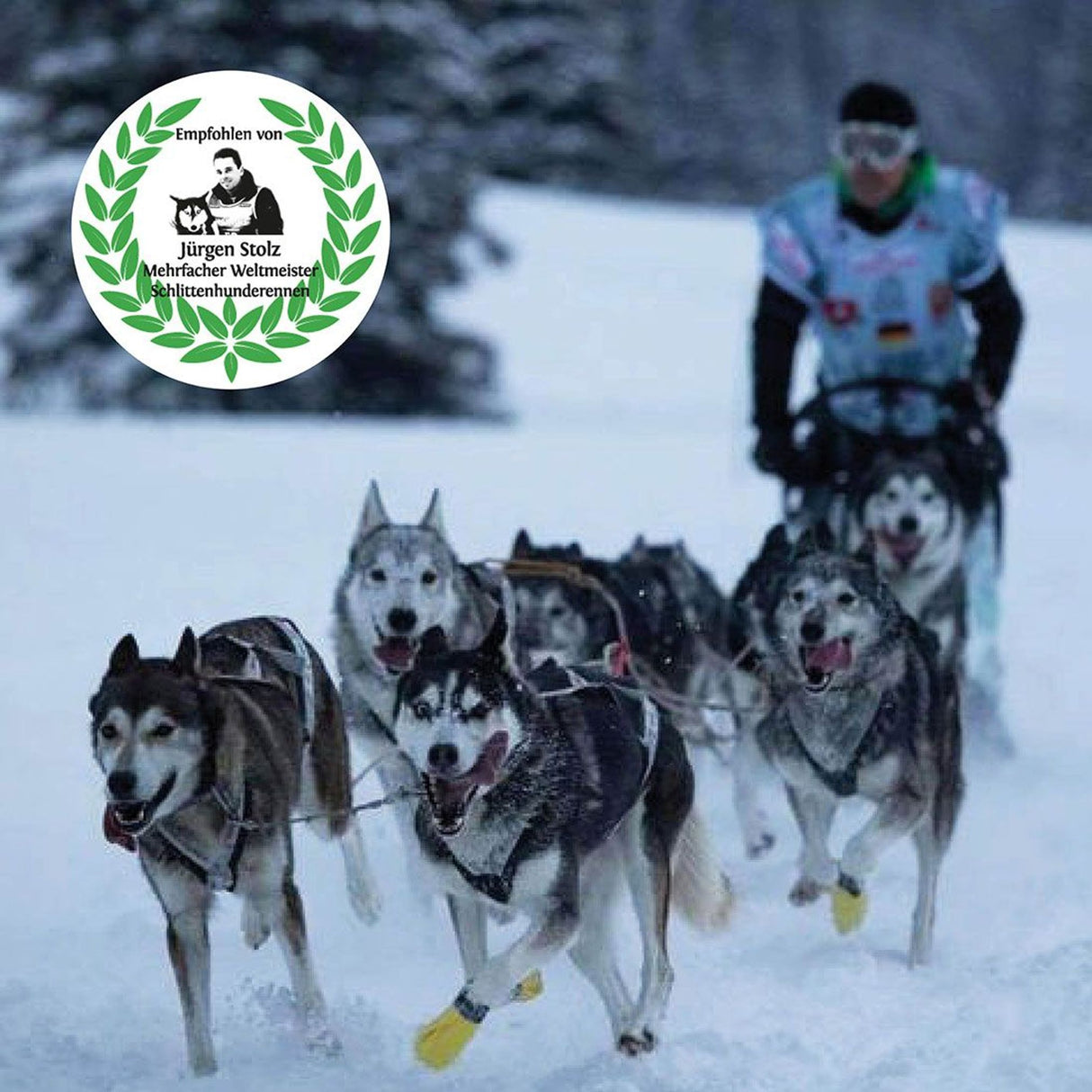 Carnello Welpenkaugummi für Hunde 60g